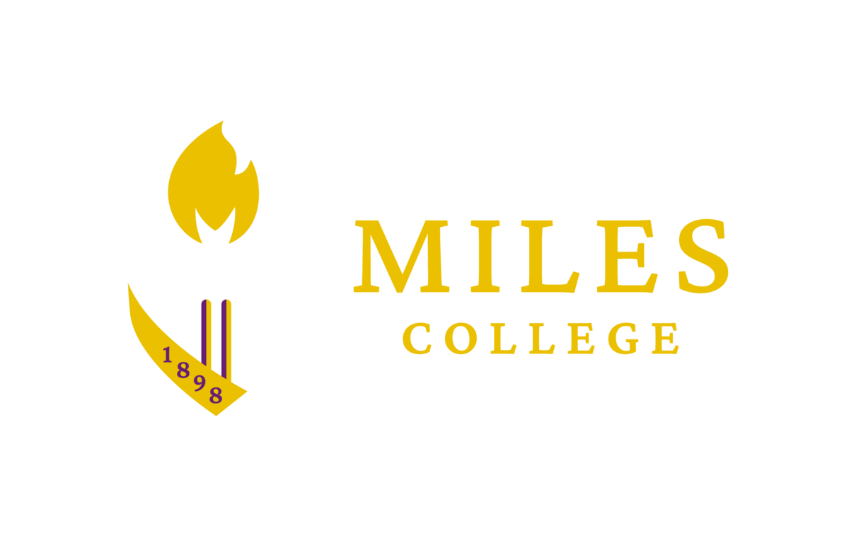 White Primary Logo