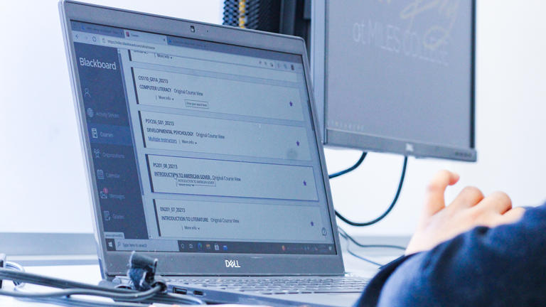 Student and Laptop 3