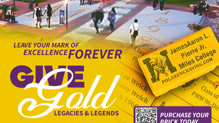 Give Gold Brick Campaign